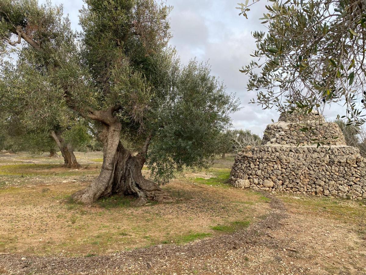 Casa Vacanze Lisa Torre Ovo Buitenkant foto